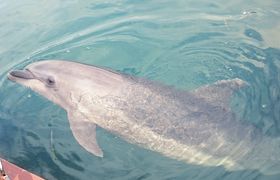 CJƈꏏɉjIWHûЂhtBt@[v̋LTlC