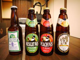 ́uvn`bv߂āI{̉nŖ키inr[SI̋LTlC