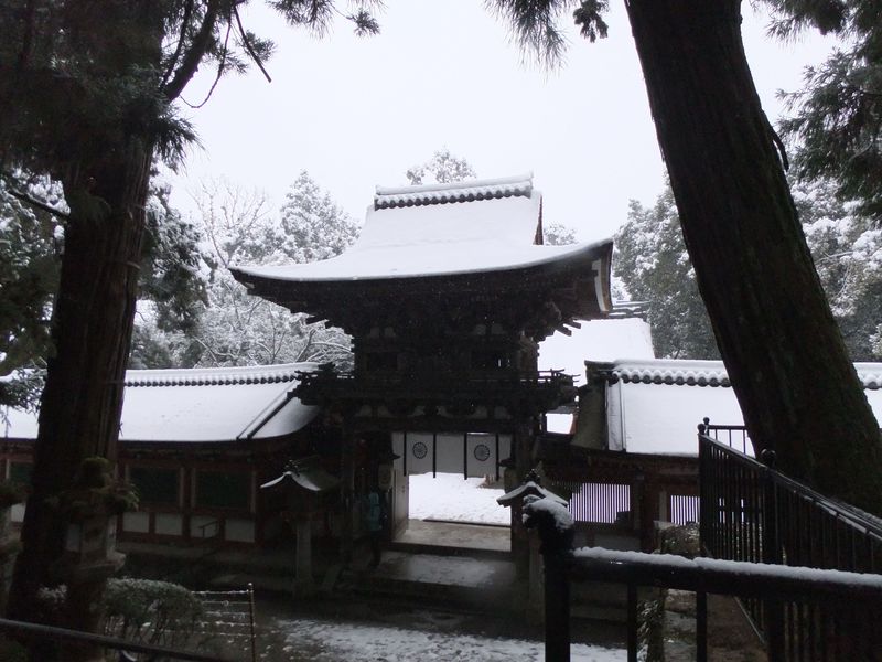 奈良県・日本最古の官道「山の辺の道」絶対立ち寄りたいパワー＆癒しを感じるスポットはこの５か所！
