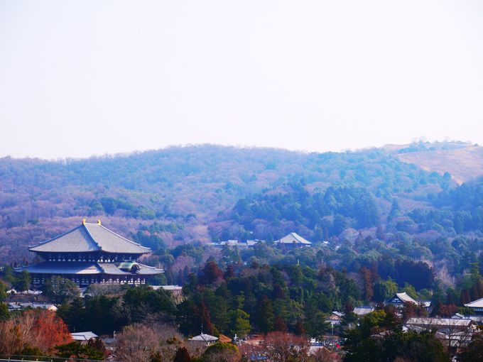 【第2位】360度のパノラマ！奈良県庁に穴場の展望台を発見