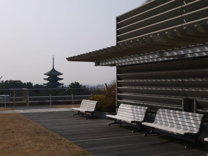 景色もいいけど居心地もGOOD！奈良県庁屋上でのんびり過ごそう