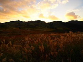 �`���ɁE�u�􍂌��`��̓h���}�u�������v���P�n�̂������̑呐���ƏH�̗[���̋L���T���l�C��