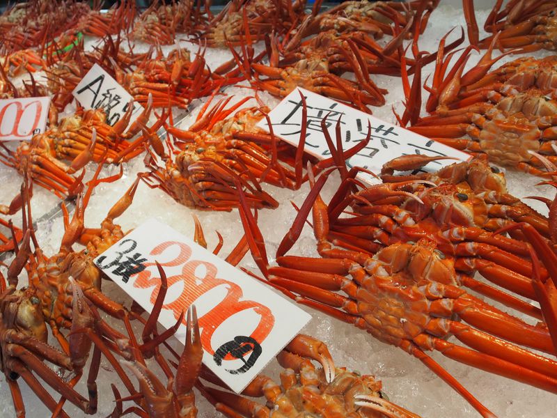 鳥取観光に行ってみよう 専門家おすすめスポット25選 トラベルjp 旅行ガイド 鳥取観光に行ってみよう 専門家おすすめスポット25選 トラベルjp 旅行ガイド