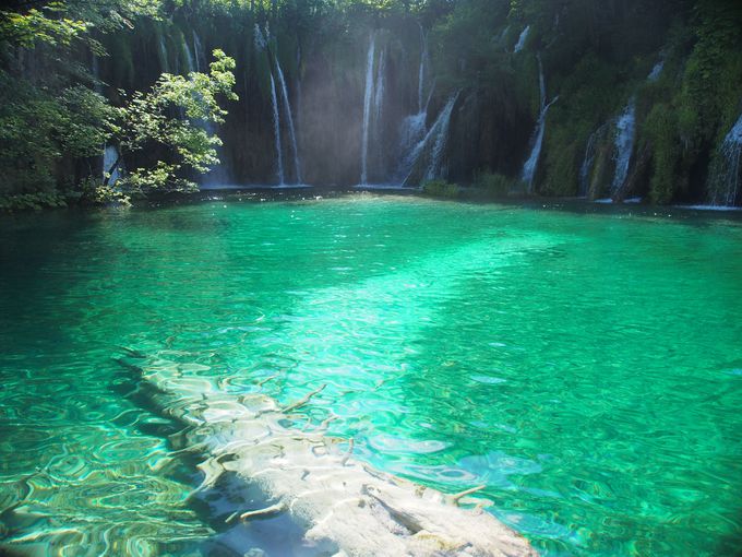 プリトヴィツェ湖群国立公園 誰でも手軽に絶景を湖畔ハイキング クロアチア トラベルjp 旅行ガイド