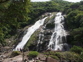 世界自然遺産「屋久島」パワースポット、滝巡り！