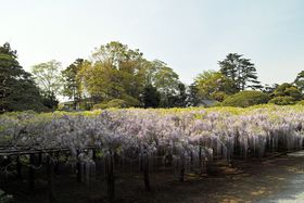 ����1200�N�I�����ő勉 �����̓��Ɉ����ɏt�����s�u���ԉ��v�ւ̋L���T���l�C��