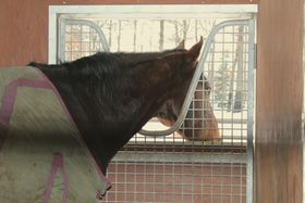 �n�Ƃ̐G�ꍇ�����y���߂�I�k�C���E�~�́u�m�[�U���z�[�X�p�[�N�v�̋L���T���l�C��