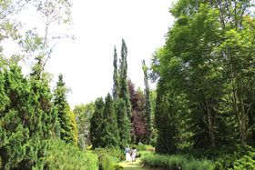 �܂�ł��Ƃ��̍��H�O�̂��낪�y���߂�I�эL�u<mark>�^��뉀</mark>�v�̋L���T���l�C��