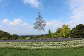 �\����������n���I�ԂƐH�Ɣ_�̃e�[�}�p�[�N�u�\���q���Y�v�̋L���T���l�C��