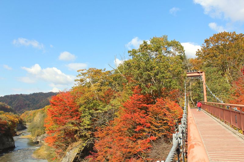 北海道「夕張滝の上自然公園」で二つの橋から紅葉鑑賞！メロンも美味