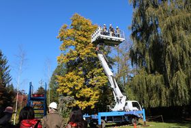 �������g�t��������ƎԂ���I�k�C���E�эL�u<mark>�^��뉀</mark>�v�̋L���T���l�C��