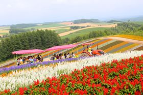 luW]ԔElGʂ̋uvgN^[oXŏI̋LTlC