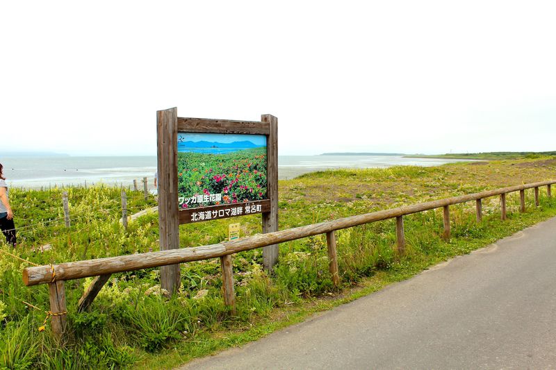 日本最大級の海岸草原！北海道北見市「ワッカ原生花園」