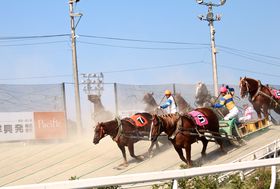 EłIƑŊy߂鋣nEэLu΂񂦂\v̋LTlC