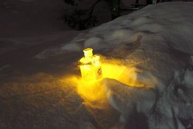 �E�C�X�L�[�̃L�����h��������I�]�s�䂫���ꁕ�i�C�g�c�A�[�̋L���T���l�C��