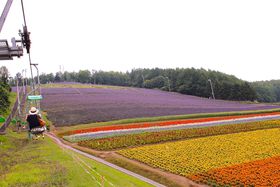 Fx_[炭uxǖ쒬cx_[vtgŎŰLTlC