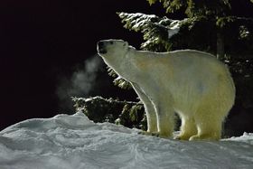 ̒̓BƃCX^fuႠ̈Rv̋LTlC