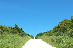 360�x��i�I�k�C���u�@�J�u�ˁv�̔������Ɠ��{��̃E�C���h�t�@�[���̋L���T���l�C��