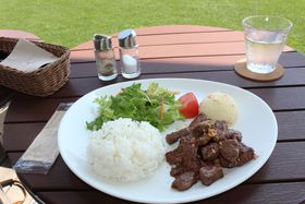 \̃JtFuCOWCOW Villagevł̏\I̋LTlC