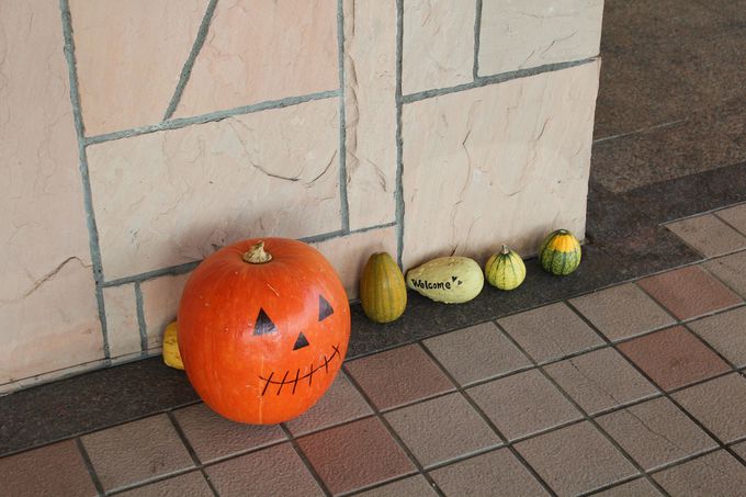 u^Mʐ̂قƂvɂ΂ς̃][gzeI