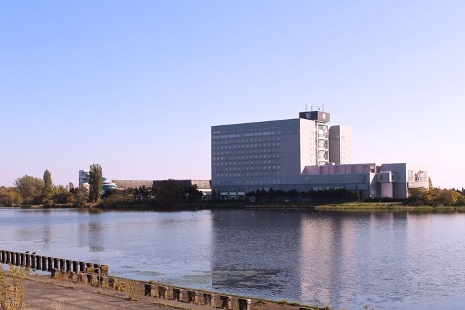 u^Mʐ̂قƂvɂ΂ς̃][gzeI