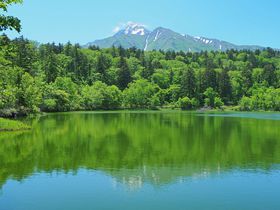 絶景“逆さ富士”や高山植物も！利尻島「姫沼」は初夏がおすすめ