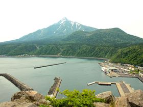 絶景の利尻島「ペシ岬展望台」は高山植物の時期がお勧め！