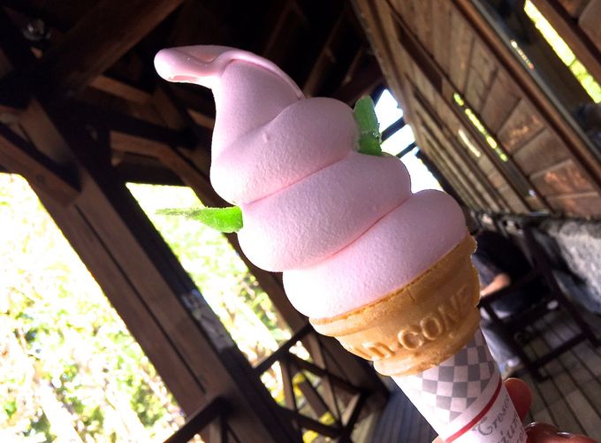 �����u�J���g���[�n�E�X�v�ŋG�ߌ���̃����`��