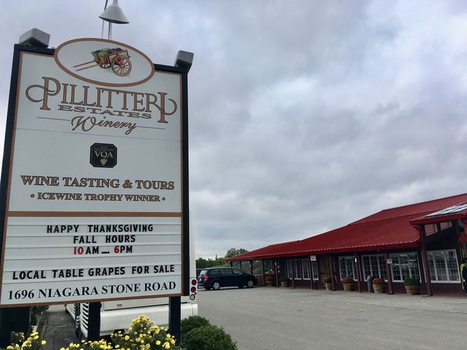 uPillitteri Estates WineryvŃACXC̎I