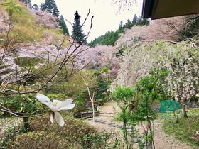 ޗǁEg̔铒ug쉷򌳓v͍̎߁I̋LTlC
