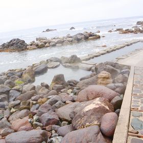 ���ٌb�R�u�����C�l����v�͊��������������ł��鏍�̘I�V���C�̋L���T���l�C��