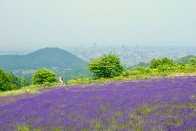 DyŉẲԃx_[悤IߌX|bg5I̋LTlC