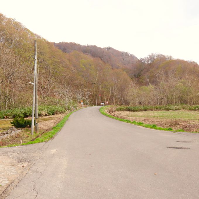 铒u͂쉷򗷊فv͏܂ƂȂ܂