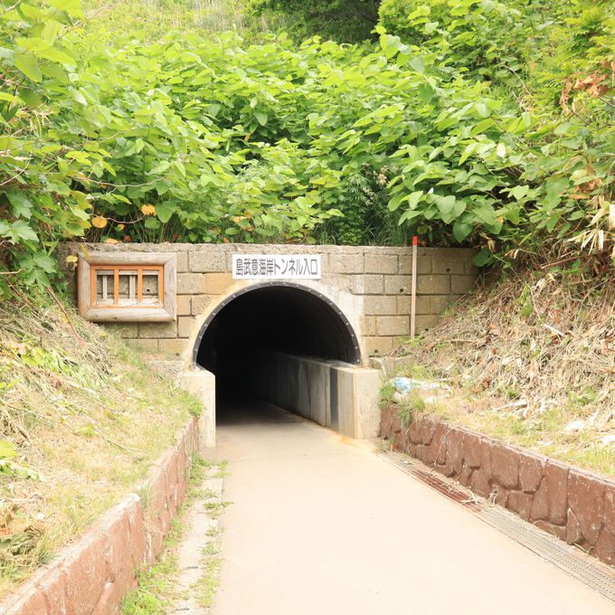 H  ؍ẂuӊC݁v̓ɁI