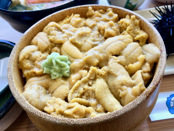 積丹 鱗晃 りんこう で絶品ウニ丼 甘えび丼や海の子三色丼も 北海道 Lineトラベルjp 旅行ガイド