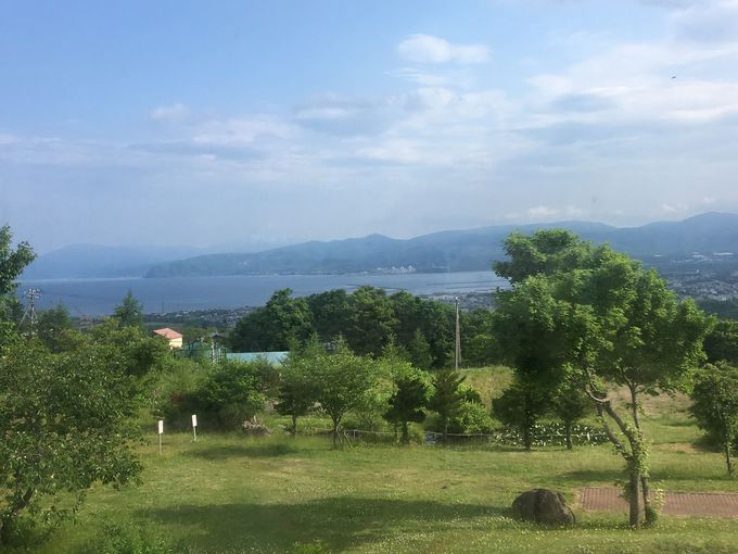 �u�̏�̉���h�u�z�e���O���[���p�[�N����Ȃ��v