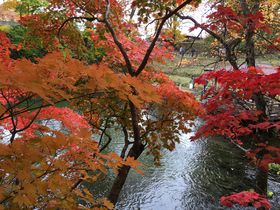 紅葉の水辺で癒されよう！北海道京極町「吹き出し公園」