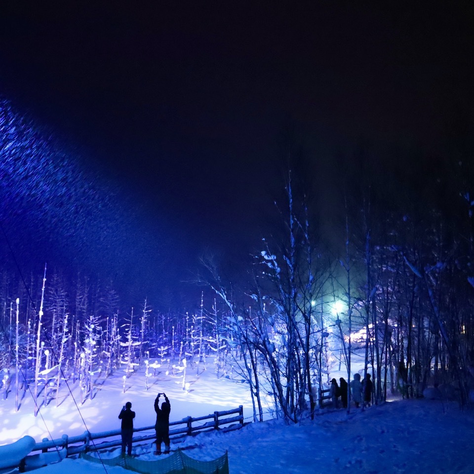 北海道美瑛町 青い池 の絶景 冬景色と夜のライトアップ 北海道 Lineトラベルjp 旅行ガイド