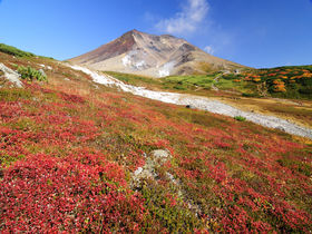 9月中旬からもう紅葉！北海道「大雪山旭岳」空中散策＆ハイキング