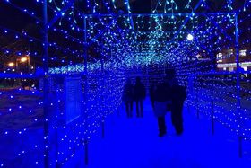 ��38�񂳂��ۂ�z���C�g�C���~�l�[�V�����̏ꏊ�Ɠ_�����Ԃ́H�̋L���T���l�C��