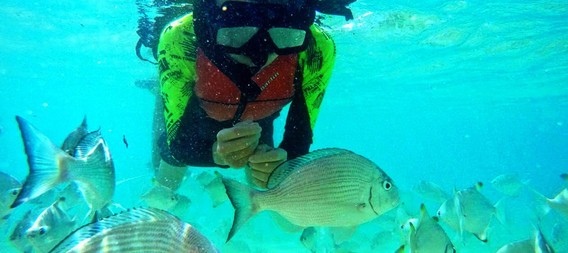 S[hR[Xg̗֏㗤IJbNcA[