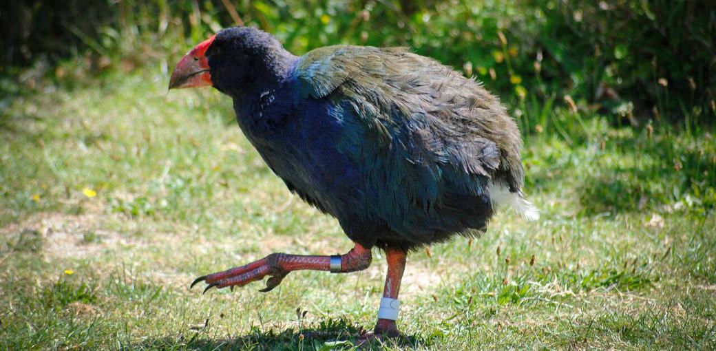 ��Ԋό��n�y7�z�e�B���e�B���E�}�^���M��