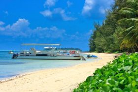 {TCp܂ł̔sԂ`ƂɉI̋LTlC