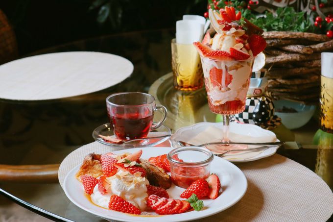 Ɣ_C`SXC[cuatTerracev