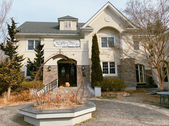 Ɣ_C`SXC[cuatTerracev