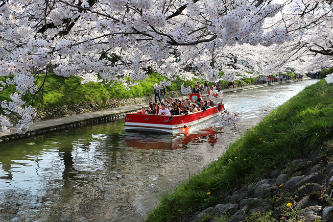 1�D�x�R�̗��j�ɐG���F�u����V���D�v�Ɓu�x�R��v