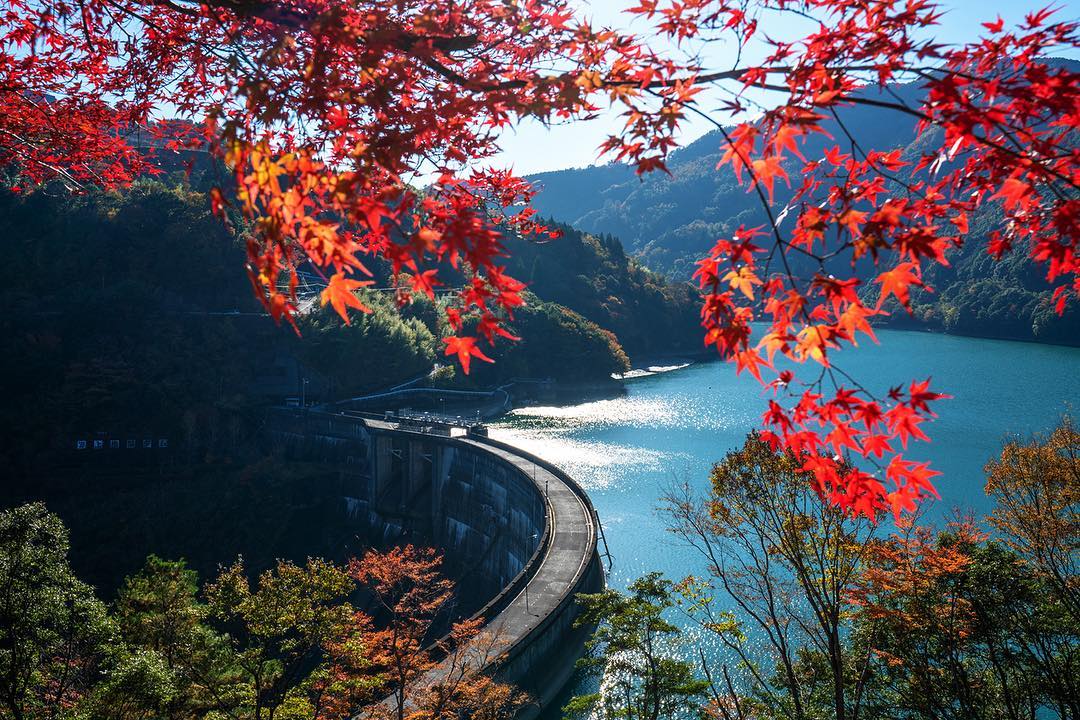 1日限りのレア絶景！日本三大秘境の紅葉とダム放流