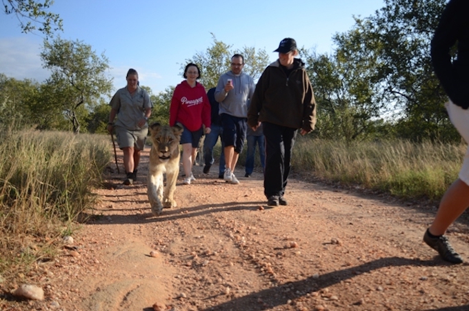 ���R��������2�D����̃����W���[�ƈꏏ�ɖ`���I