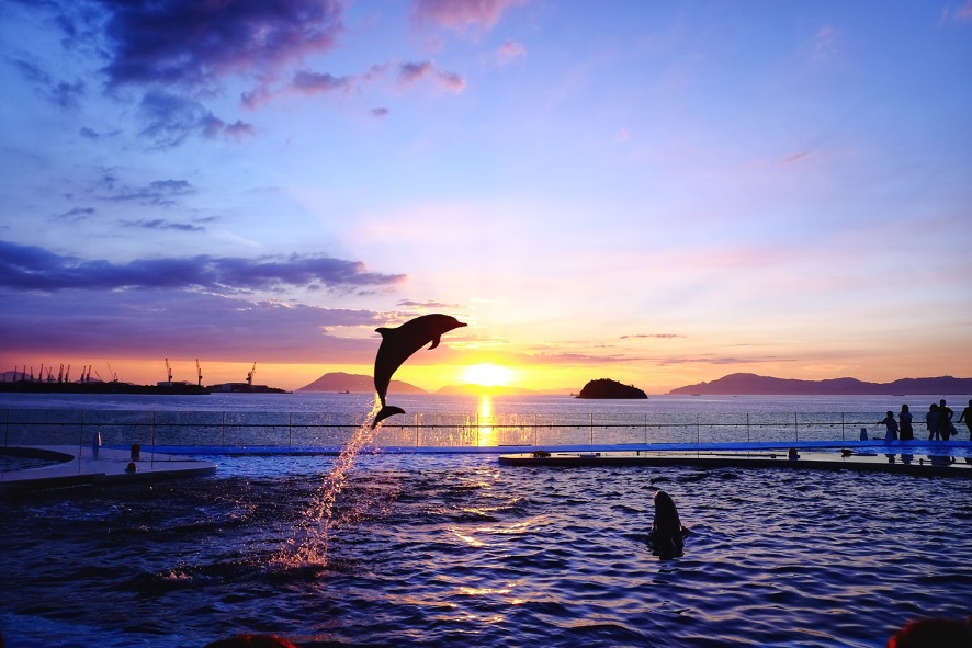 獁փtCgItHgWFjbNȌIь╃ꃖl𖞋iIi`fR[X1)