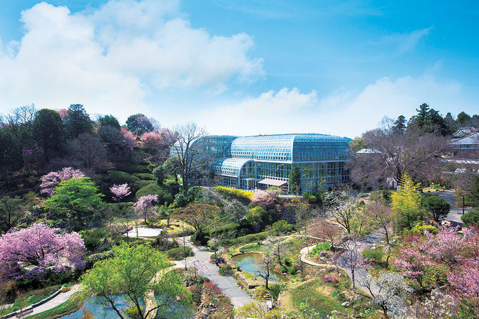 IvȗjAR鈤QAm̖R[XBiQ`mfR[X2ځ`3ځj